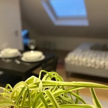 Feriehus Cosy Rent Studio 3 Tv-wifi Proche Gare Strasbourg